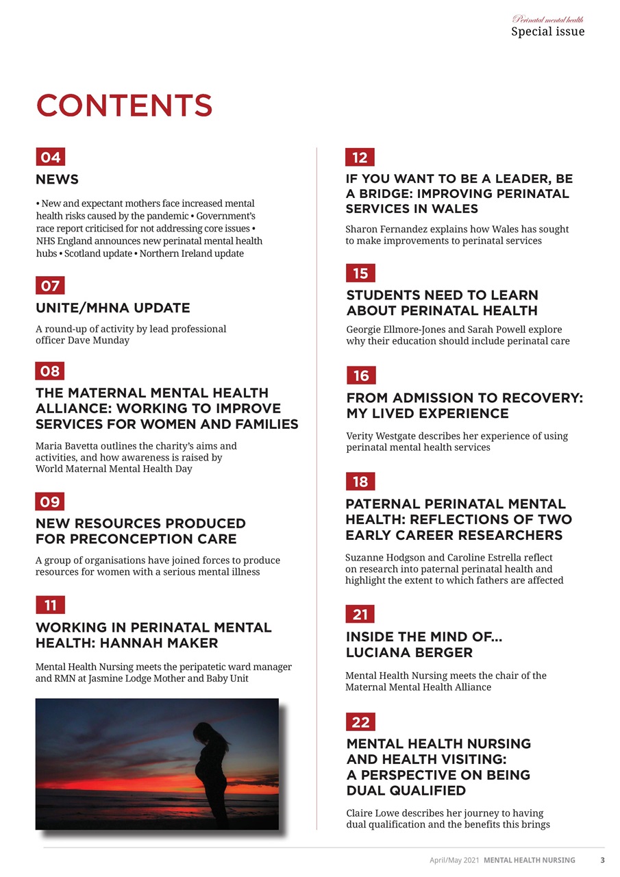 Mental Health Nursing Preview Pages