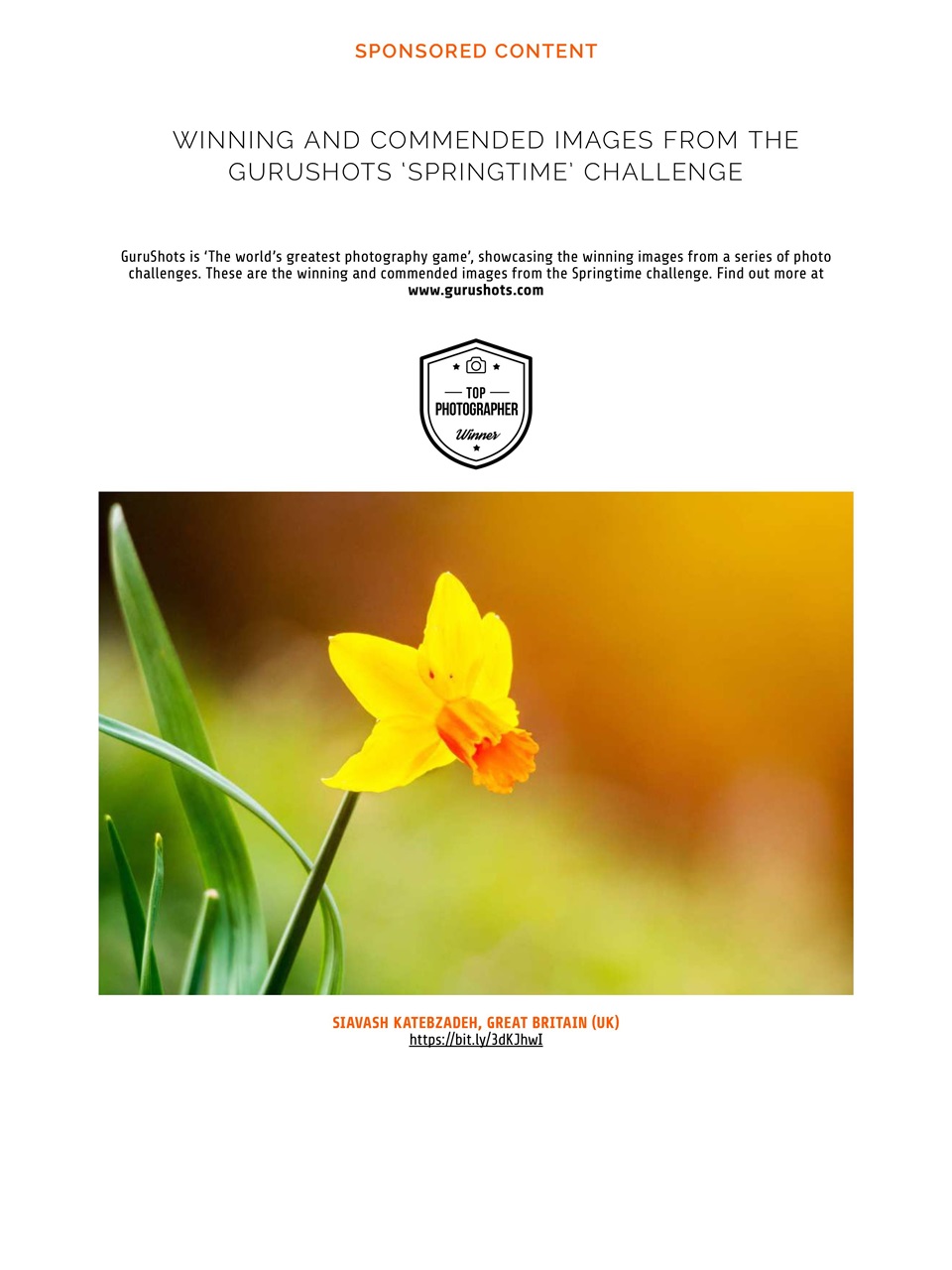 Photography Week Preview Pages