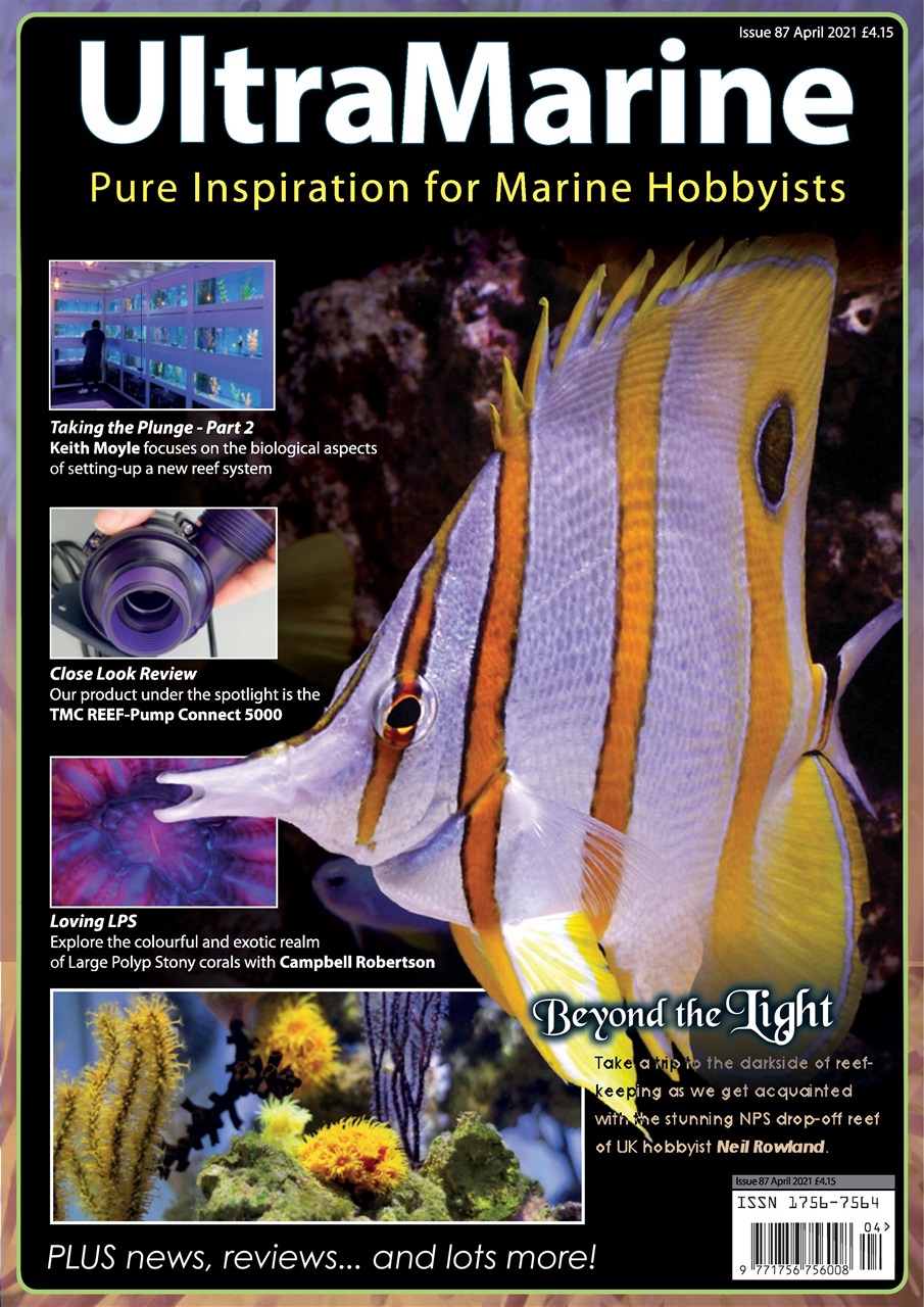 UltraMarine Magazine Preview Pages