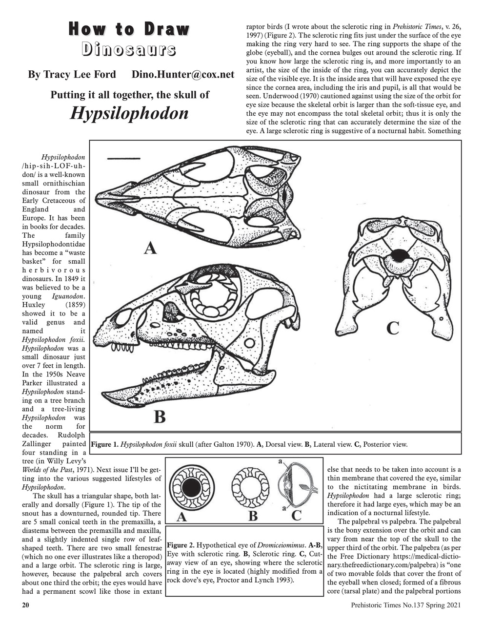 Prehistoric Times Preview Pages