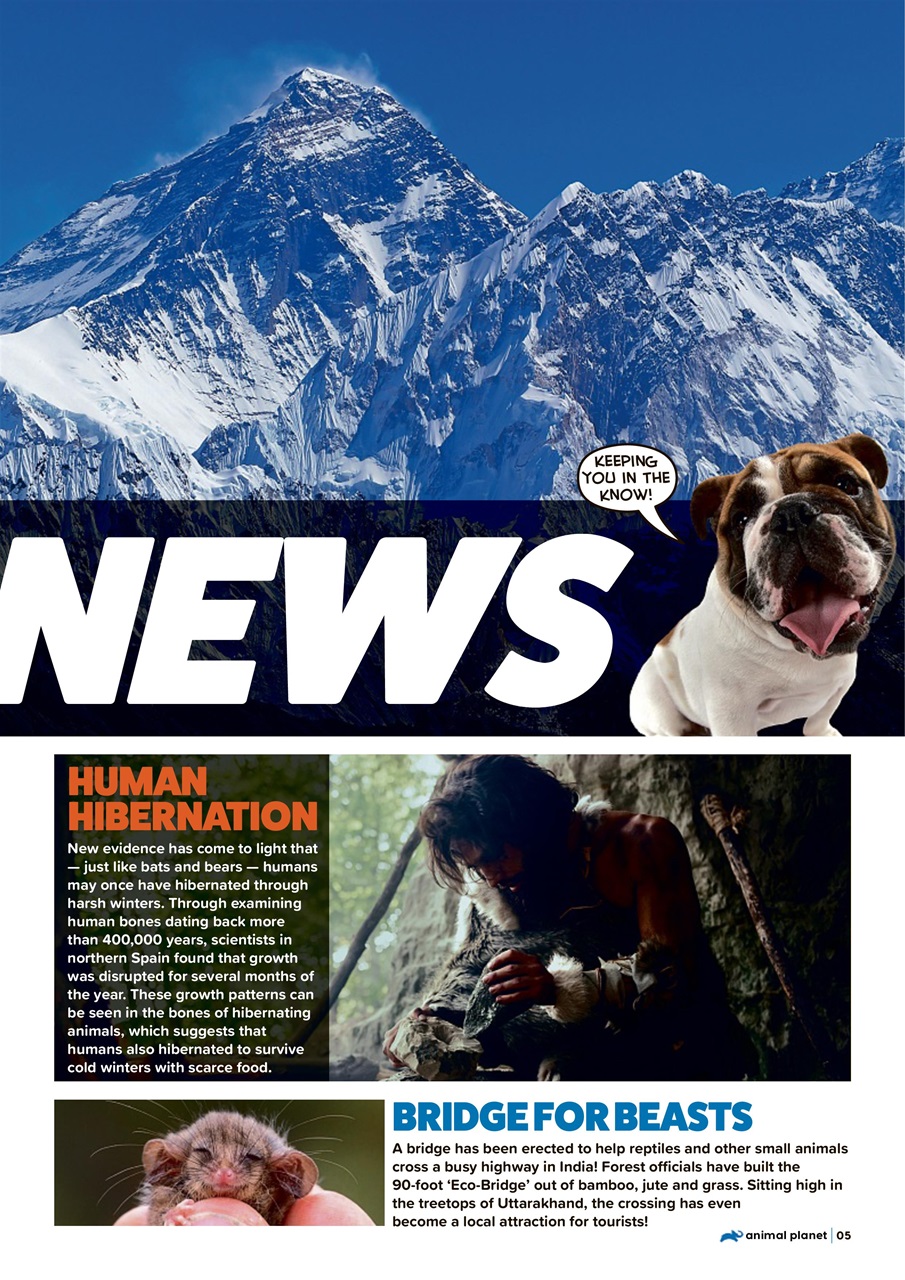 Animal Planet Kids Preview Pages