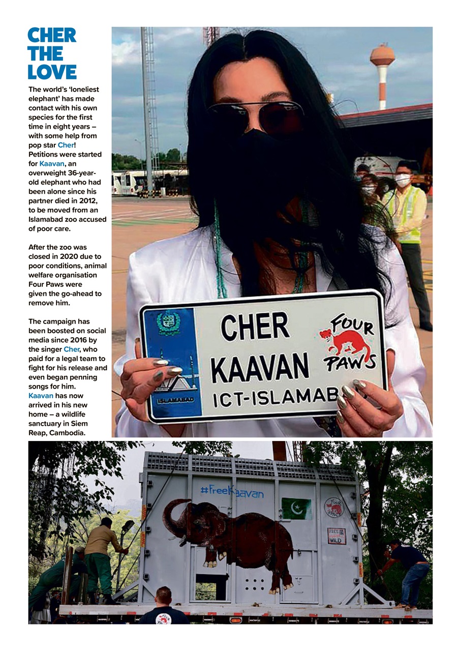 Animal Planet Kids Preview Pages