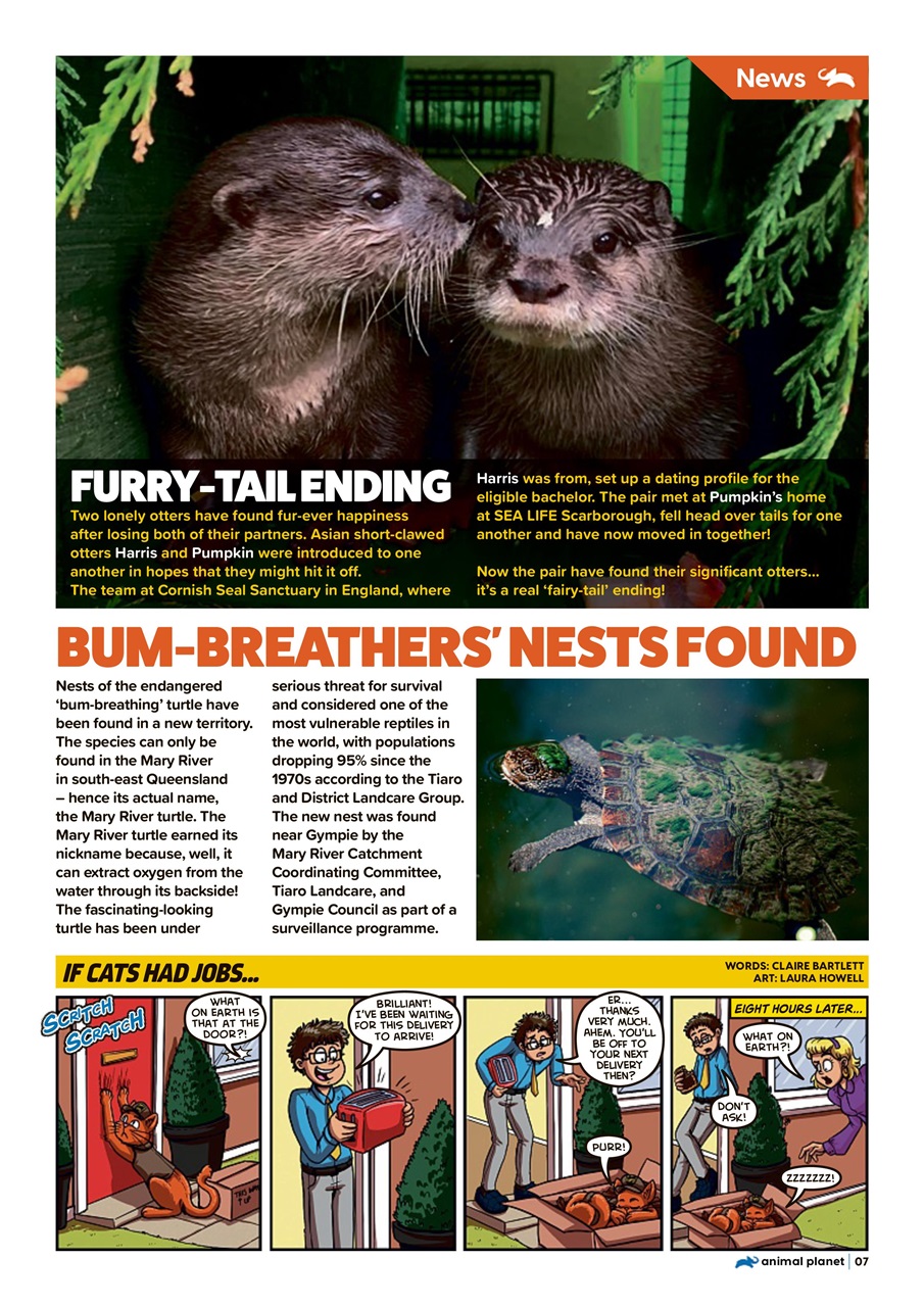 Animal Planet Kids Preview Pages