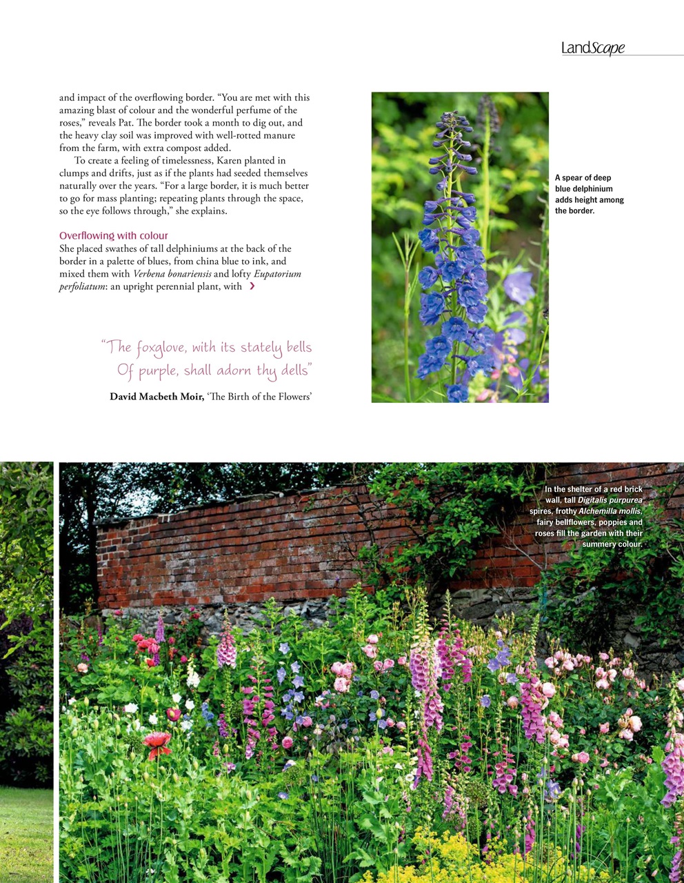 LandScape Preview Pages