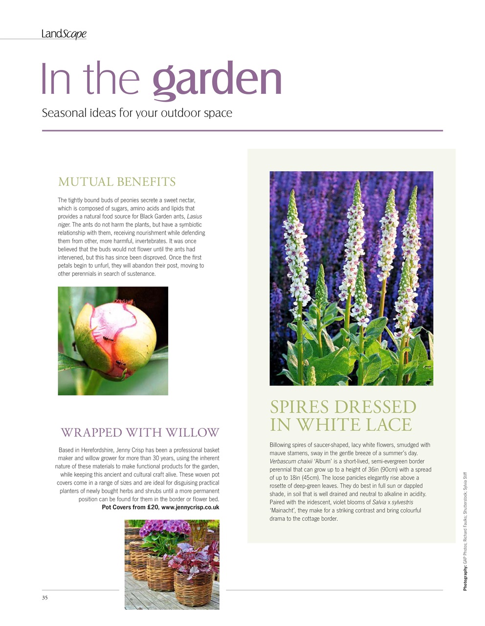 LandScape Preview Pages