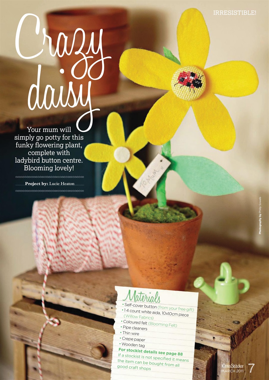 CrossStitcher Preview Pages