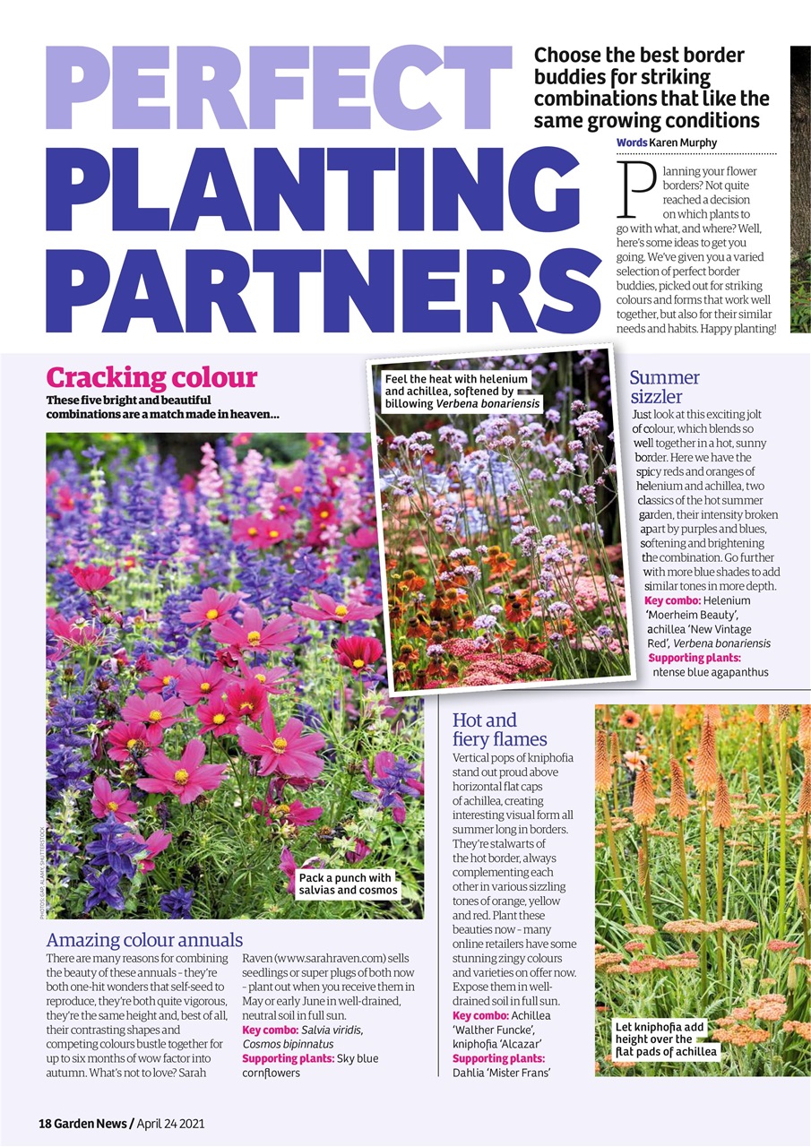 Garden News Preview Pages