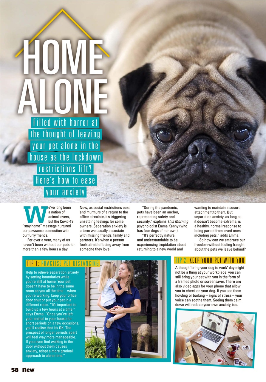 New Magazine Preview Pages