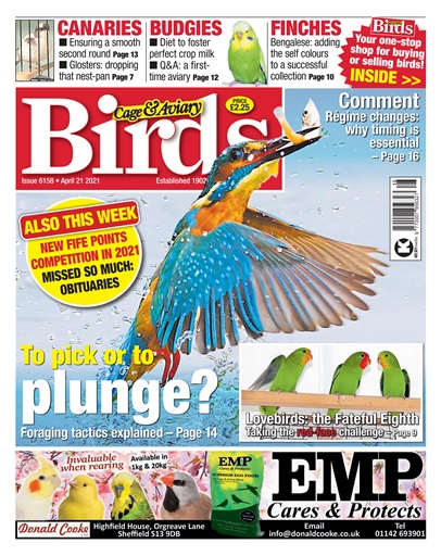 Cage & Aviary Birds issue 