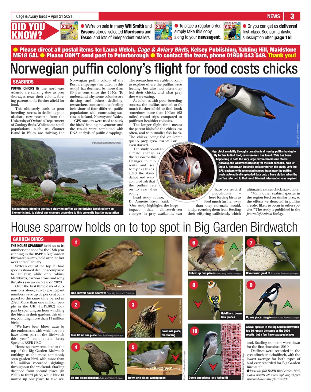 Cage & Aviary Birds Preview Pages