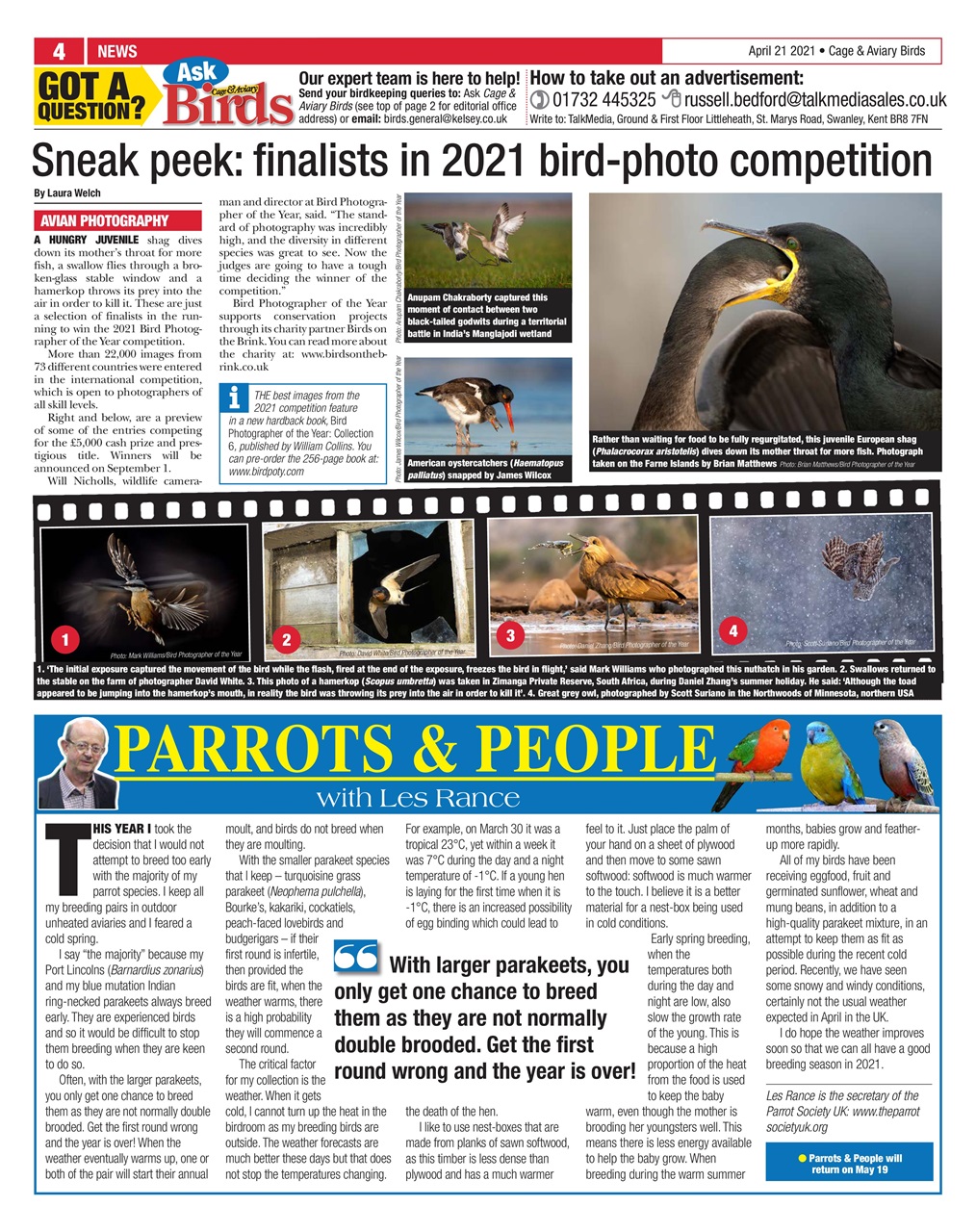 Cage & Aviary Birds Preview Pages