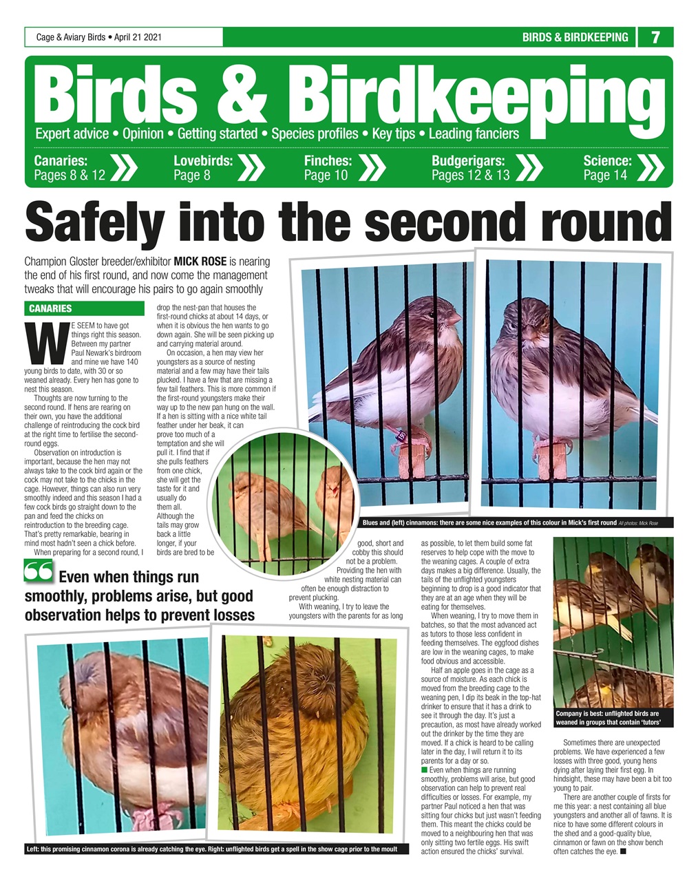 Cage & Aviary Birds Preview Pages
