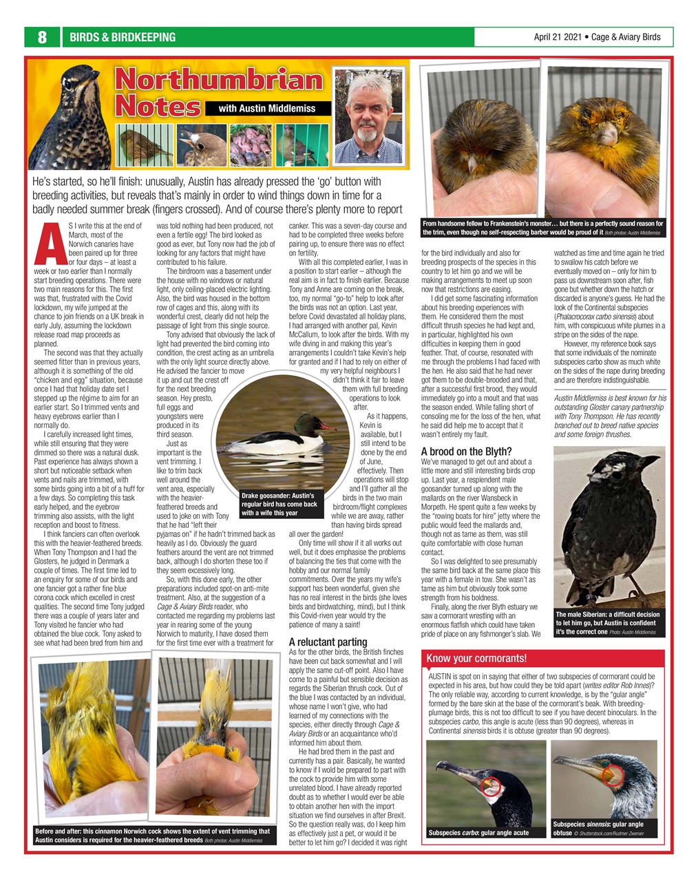 Cage & Aviary Birds Preview Pages