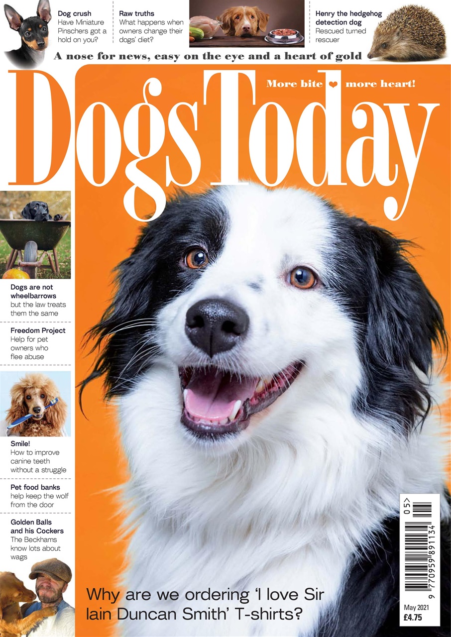 Dogs Today Magazine Preview Pages