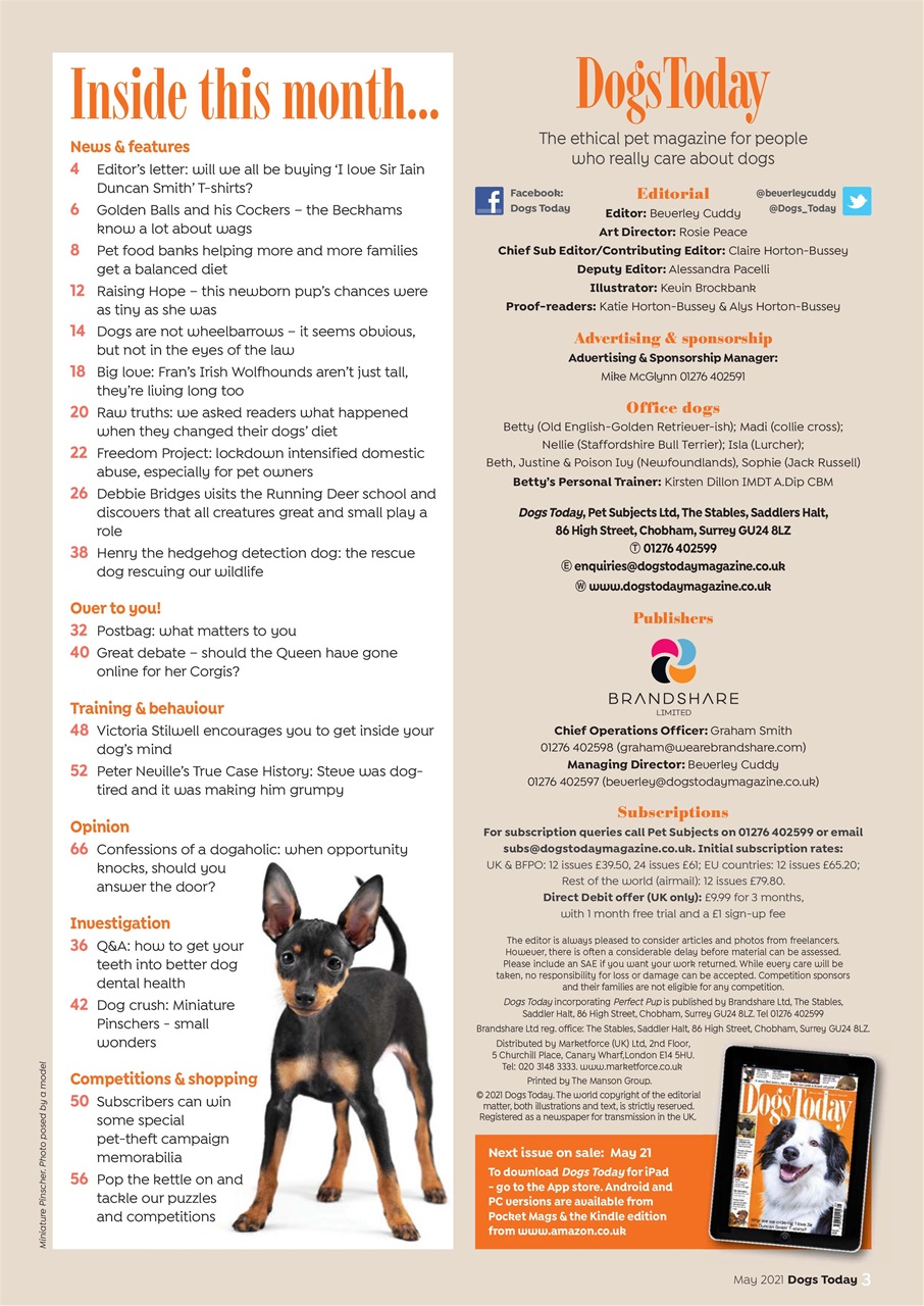 Dogs Today Magazine Preview Pages