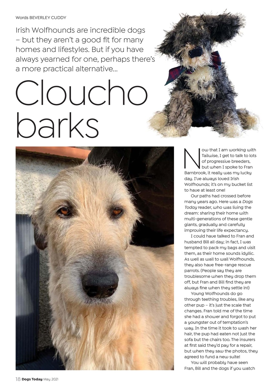 Dogs Today Magazine Preview Pages