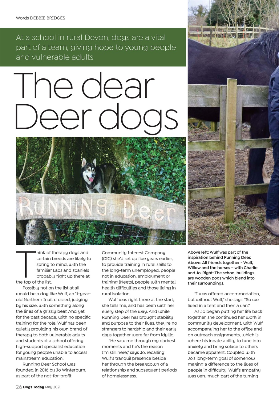 Dogs Today Magazine Preview Pages