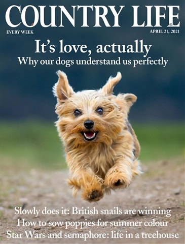 Country Life issue 21-Apr-2021
