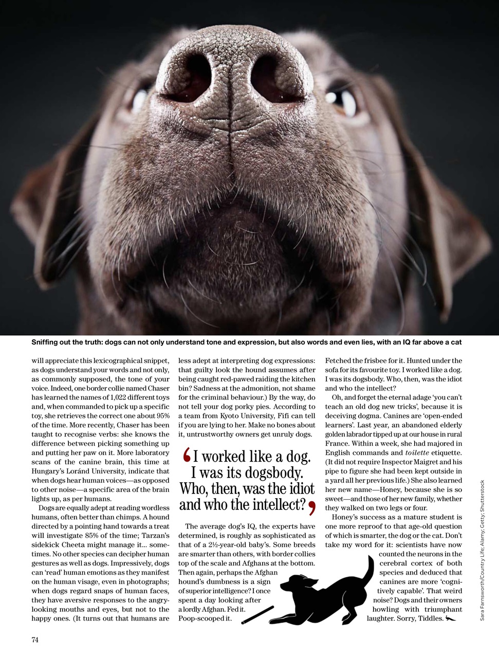 Country Life Preview Pages