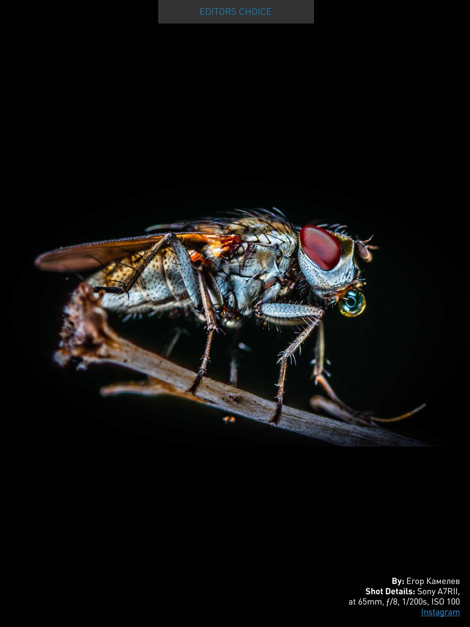 Photography Masterclass Magazine Preview Pages