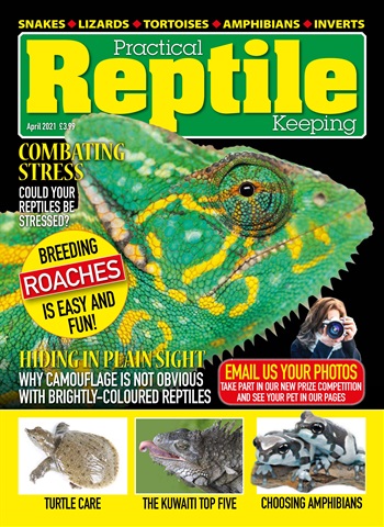 Practical Reptile Keeping issue April 2021