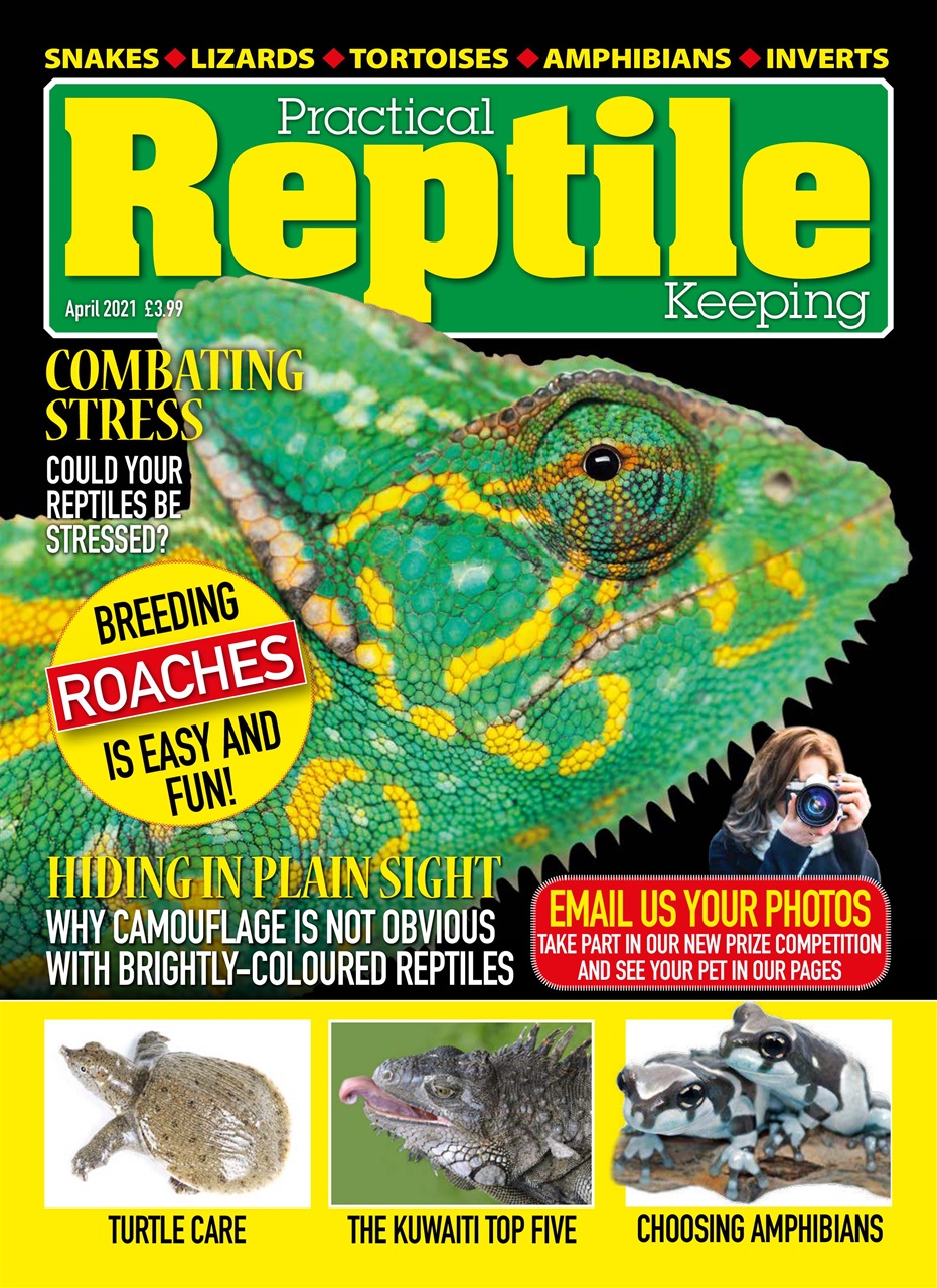 Practical Reptile Keeping Preview Pages