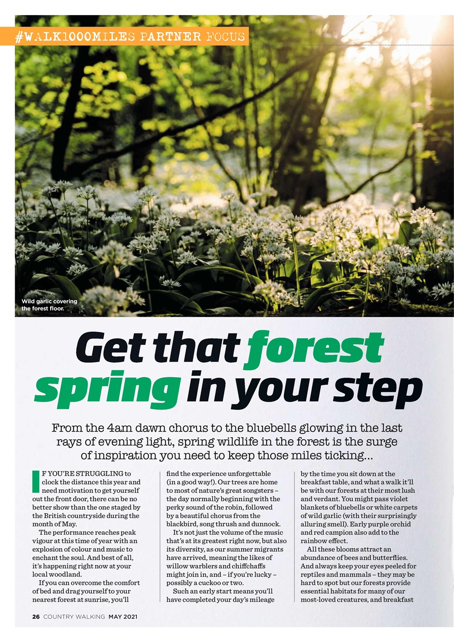 Country Walking Preview Pages