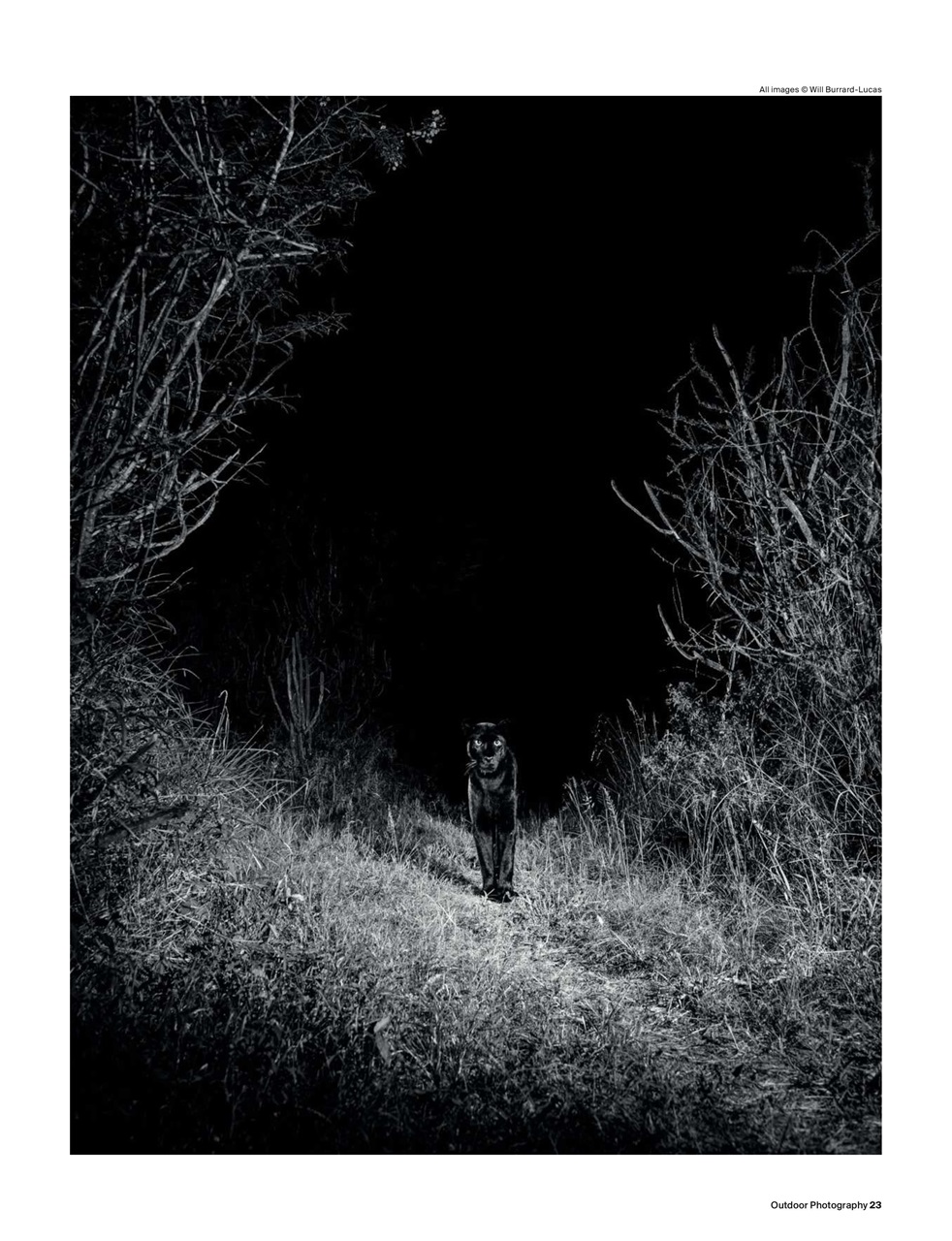 Outdoor Photography Preview Pages
