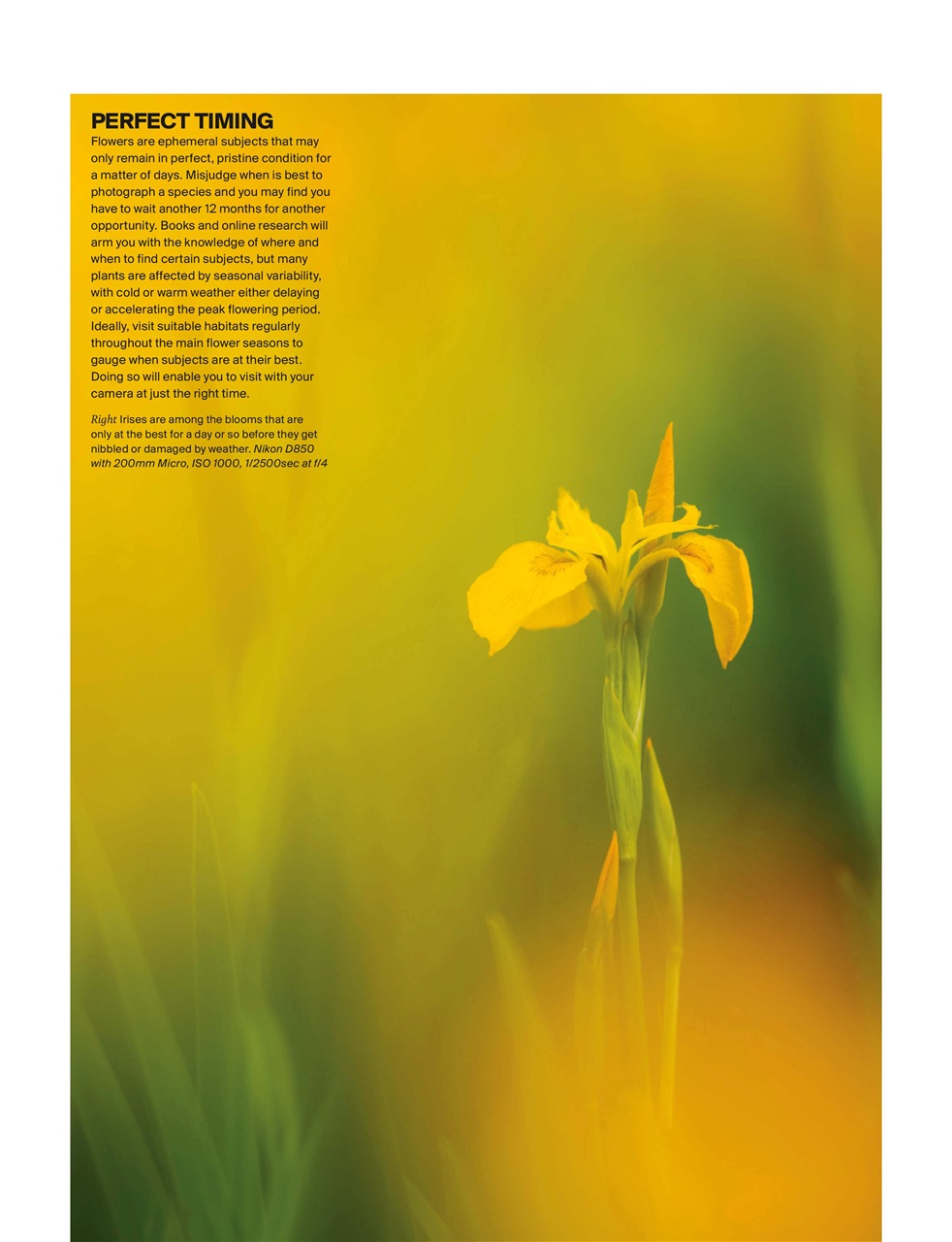 Outdoor Photography Preview Pages