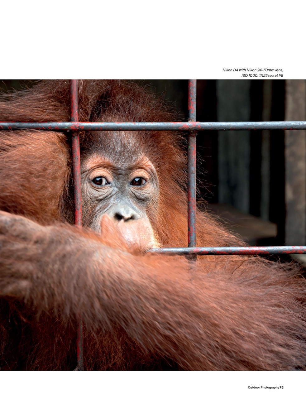 Outdoor Photography Preview Pages
