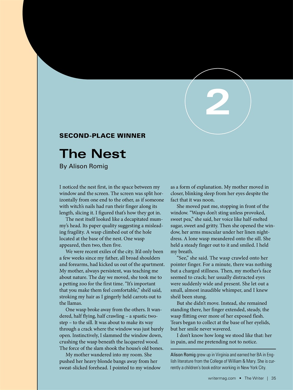 The Writer Preview Pages