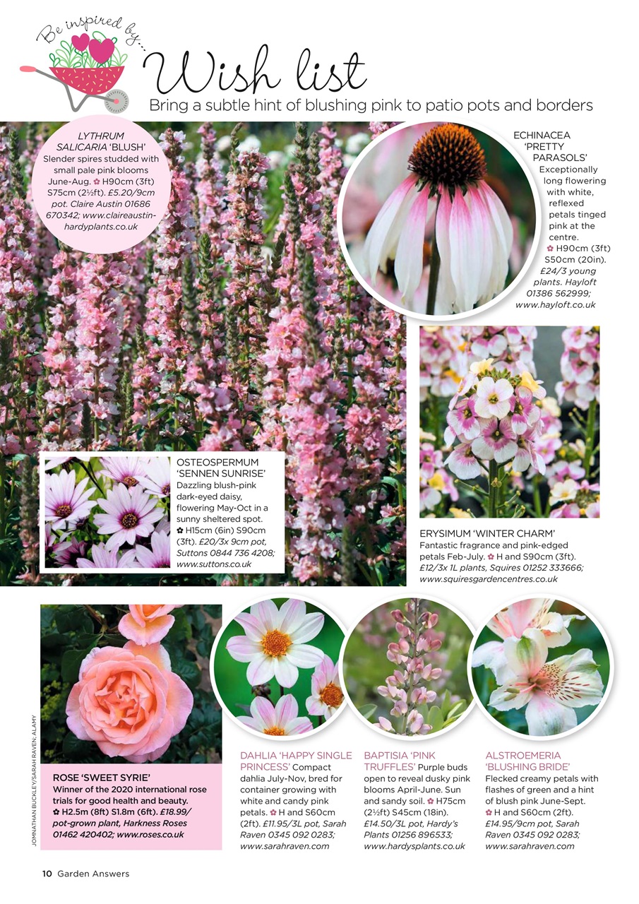 Garden Answers Preview Pages