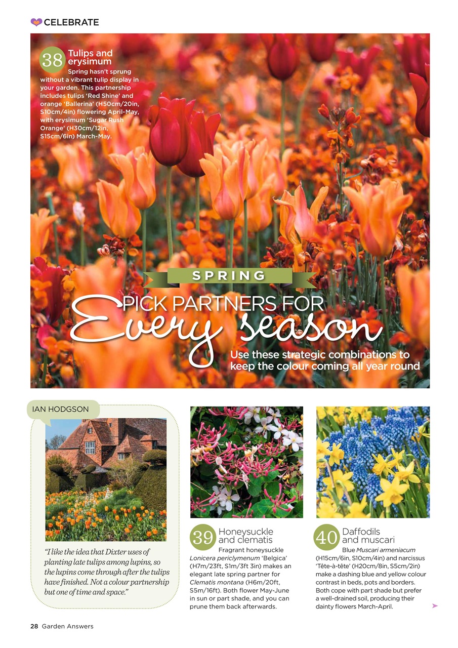 Garden Answers Preview Pages