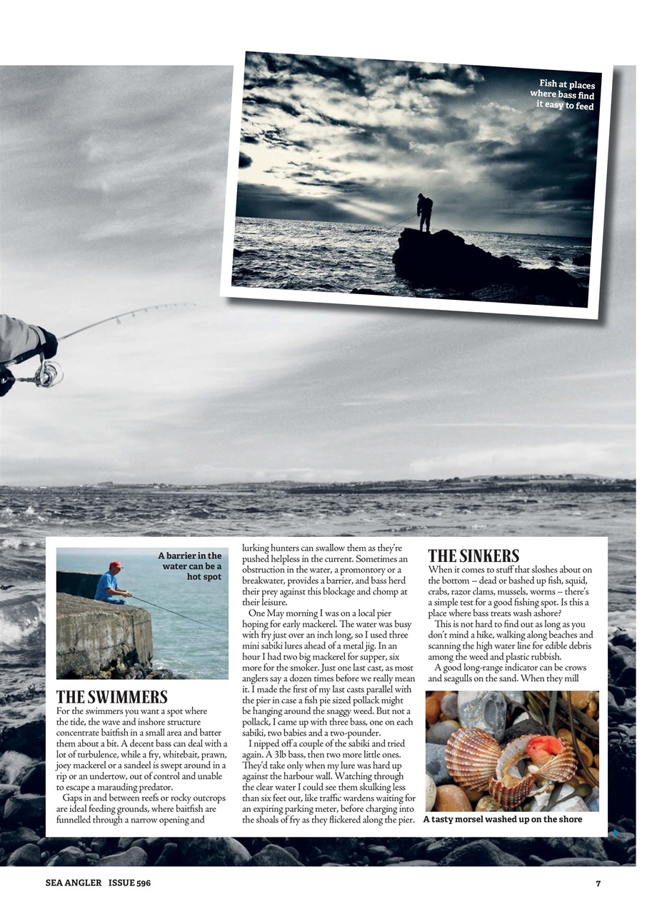 Sea Angler Preview Pages