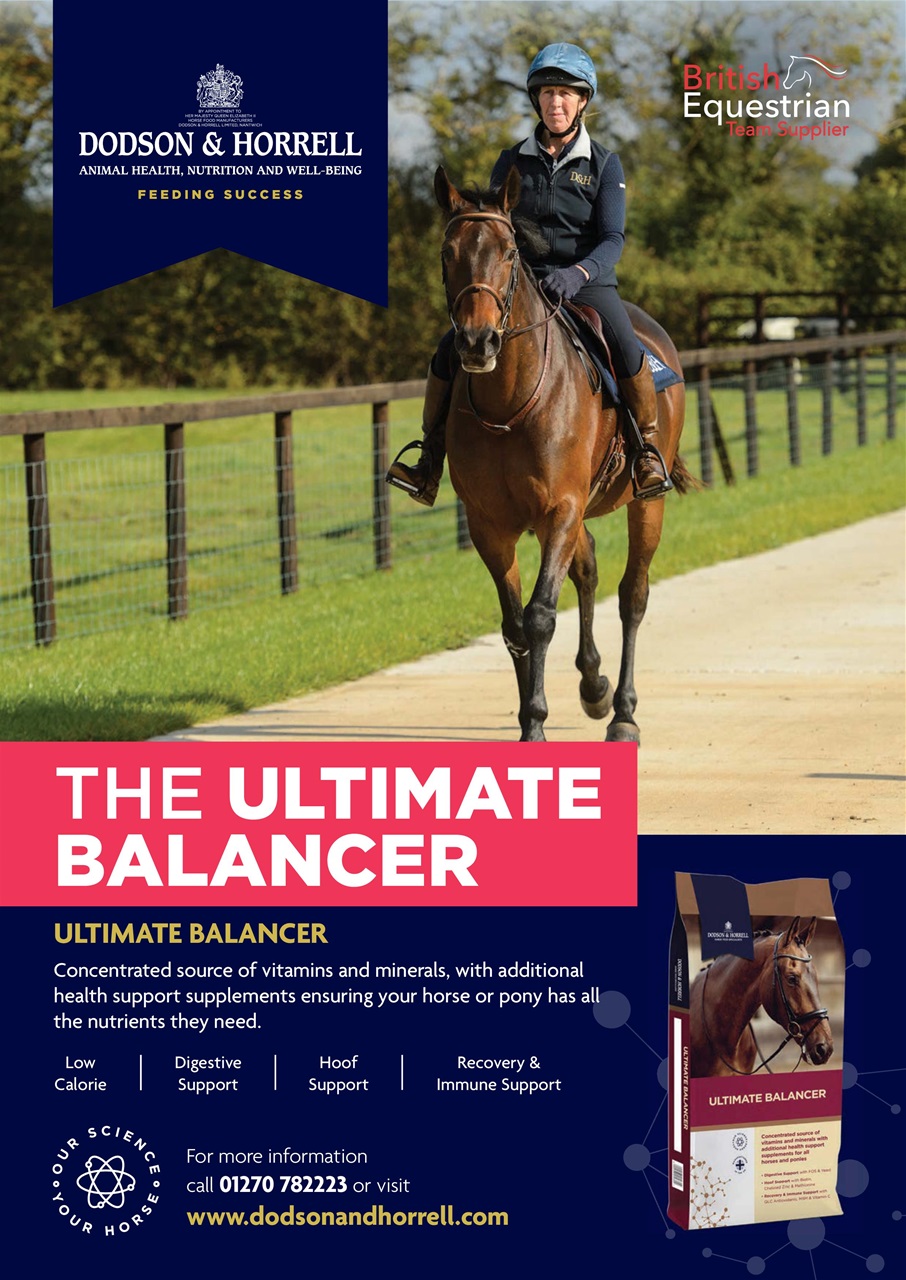 Your Horse Preview Pages