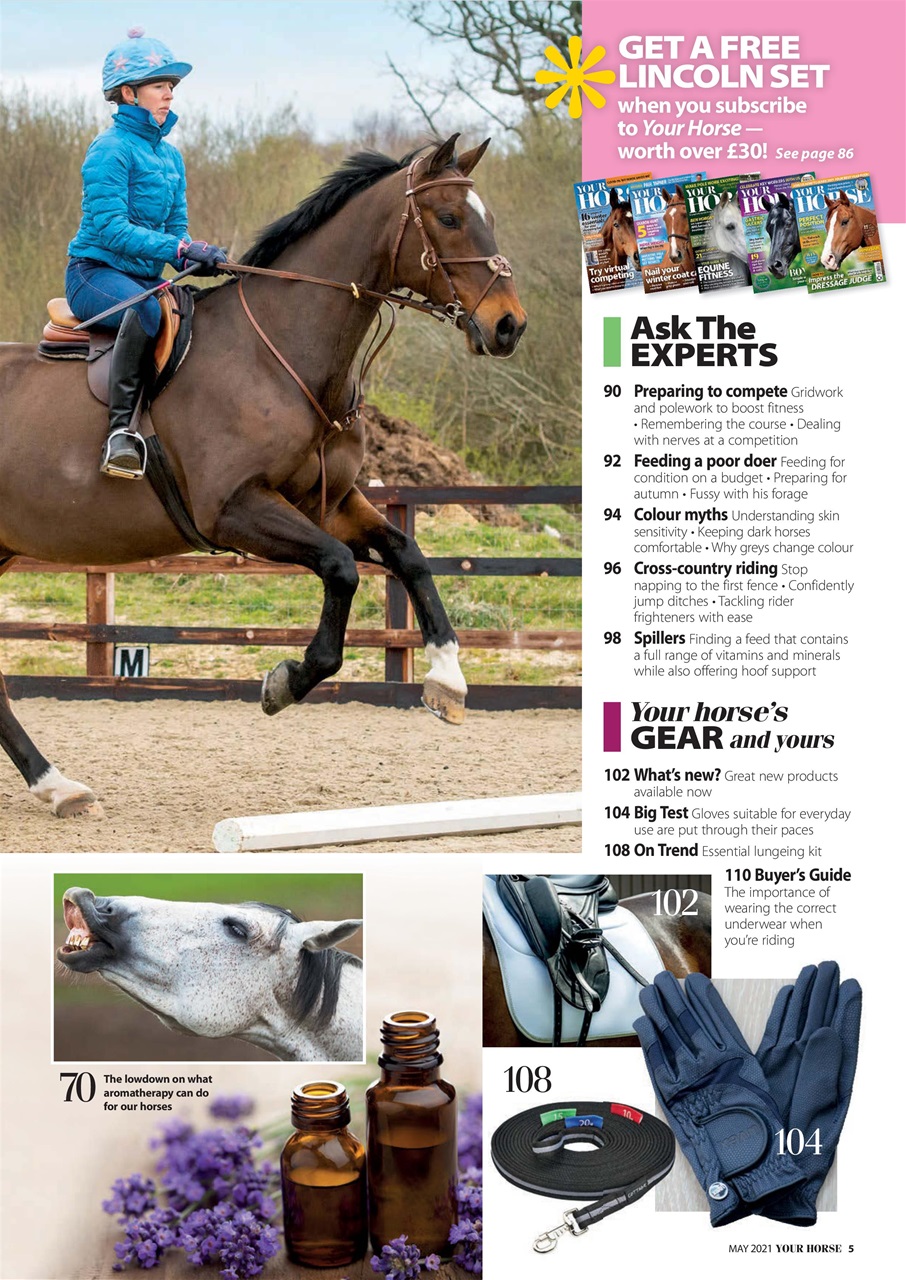 Your Horse Preview Pages