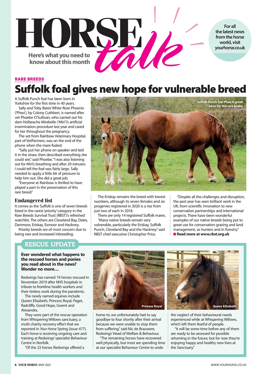 Your Horse Preview Pages
