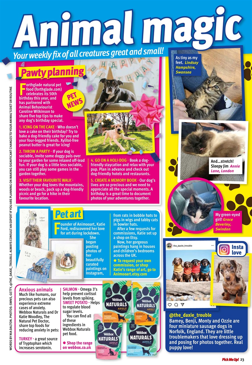 Pick Me Up Preview Pages