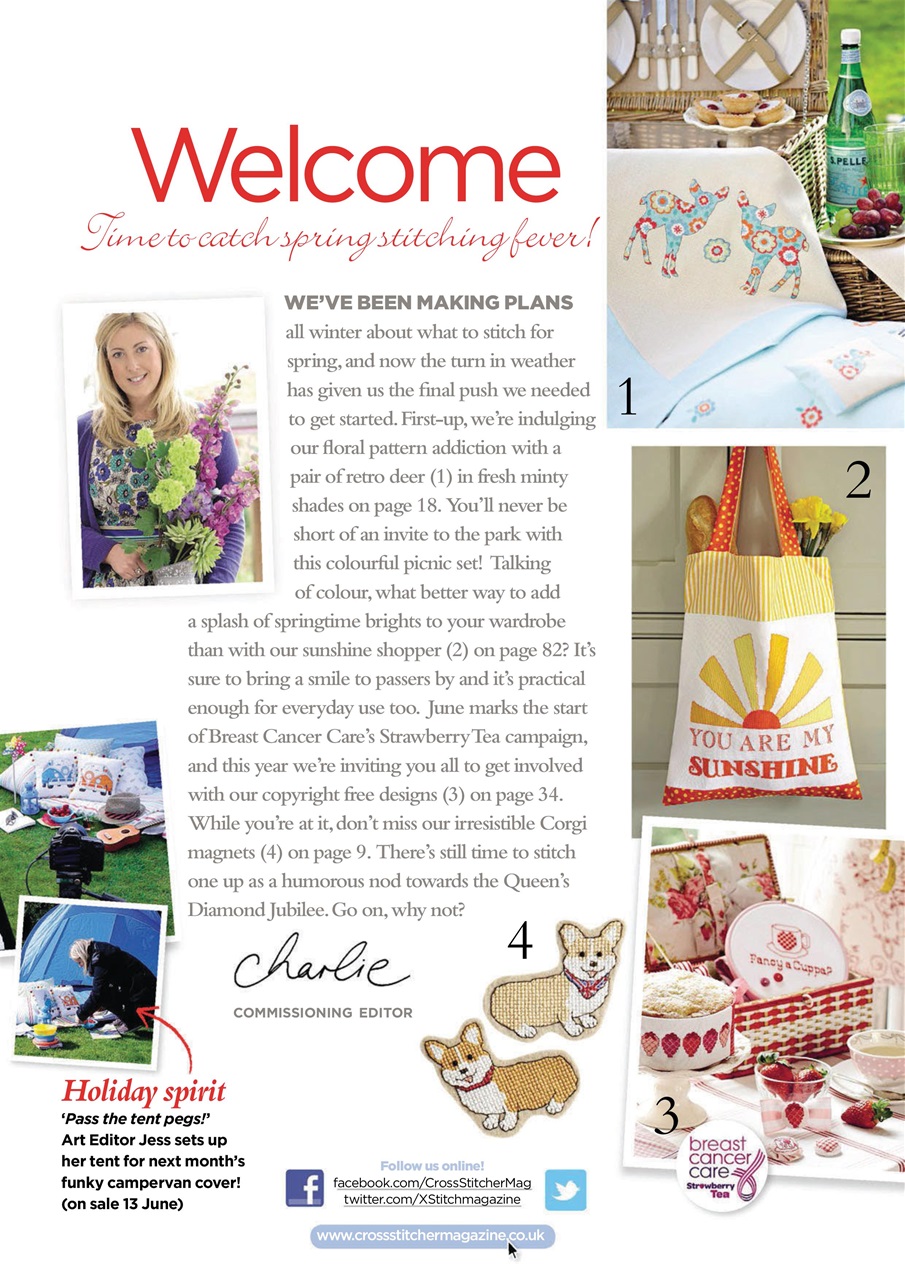 CrossStitcher Preview Pages