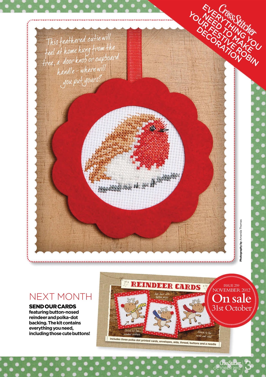 CrossStitcher Preview Pages