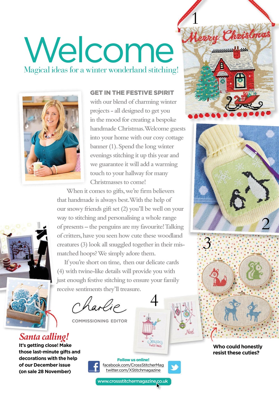 CrossStitcher Preview Pages