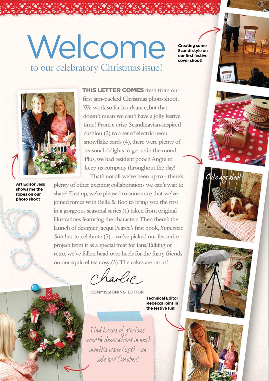 CrossStitcher Preview Pages