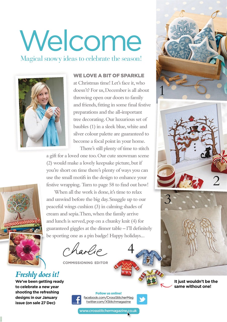 CrossStitcher Preview Pages