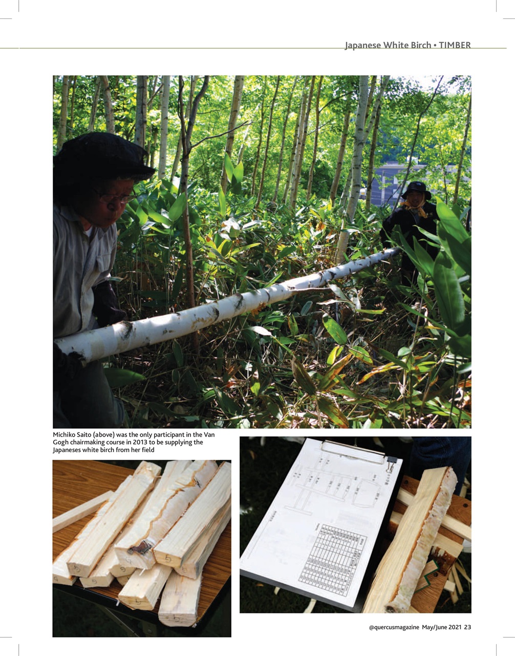 Quercus Preview Pages