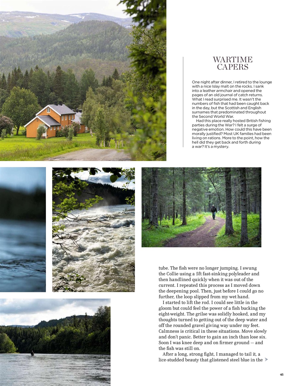 Trout & Salmon Preview Pages