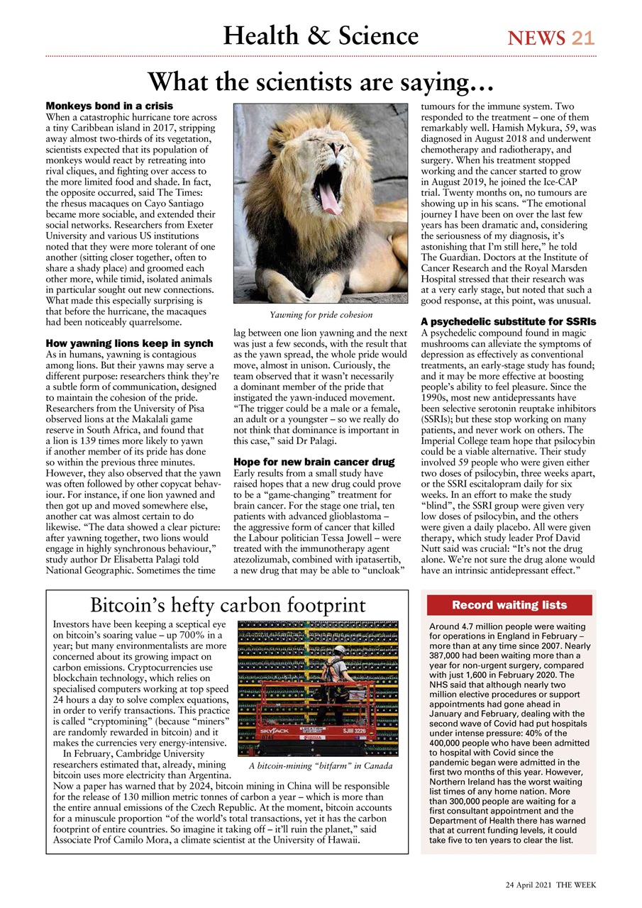The Week Preview Pages