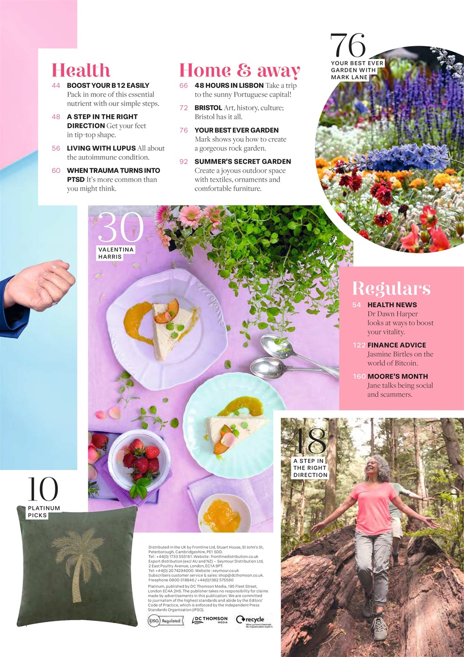 Platinum Preview Pages