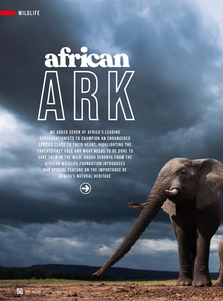 MSAFIRI – Kenya Airways Inflight Preview Pages