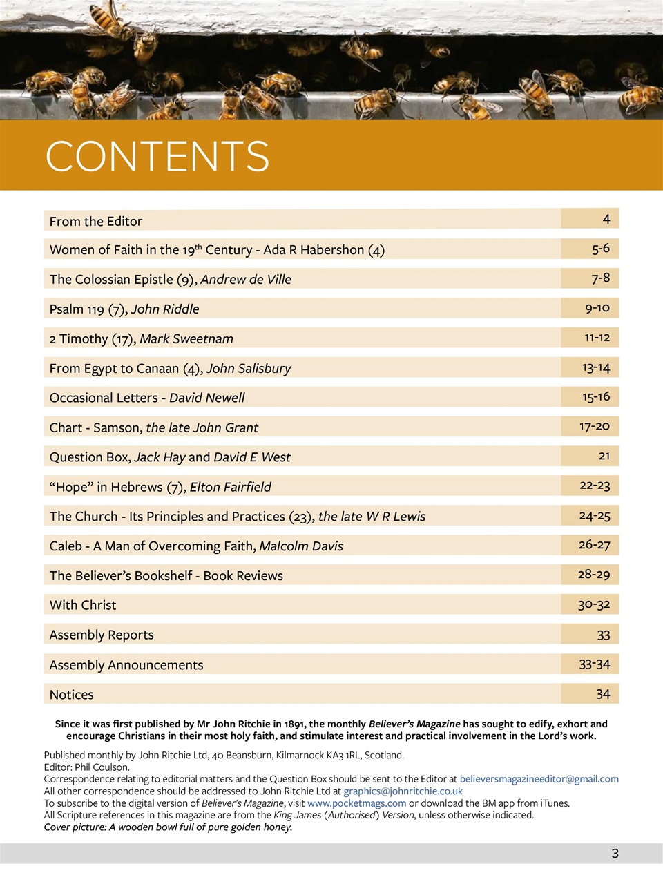 Believer Magazine Preview Pages