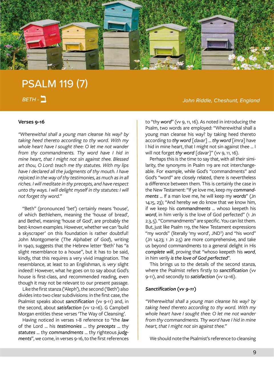 Believer Magazine Preview Pages